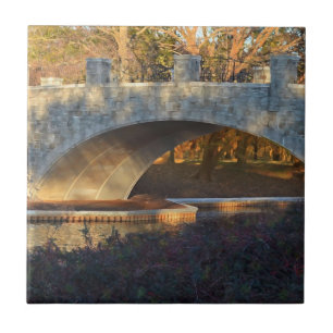 Painted Bridge at Sunset by Shirley Taylor Tile