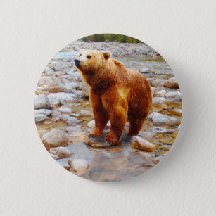 Painted Brown Bear in River Woodland Wildlife 6 Cm Round Badge