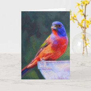 Painted Bunting Bird on Bird Feeder Bird Lover Card