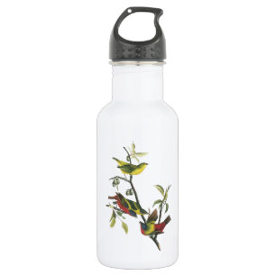 Painted Bunting by Audubon 532 Ml Water Bottle