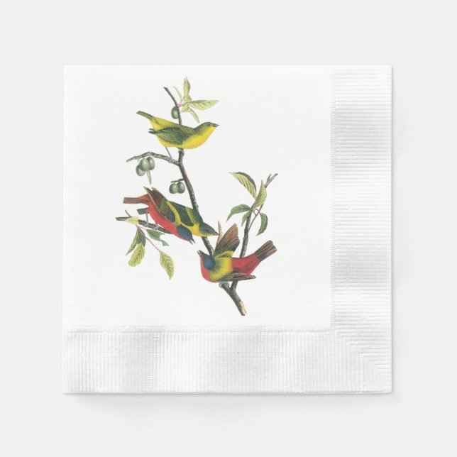 Painted Bunting by Audubon Napkin (Front)