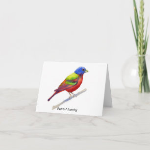 Painted Bunting Card
