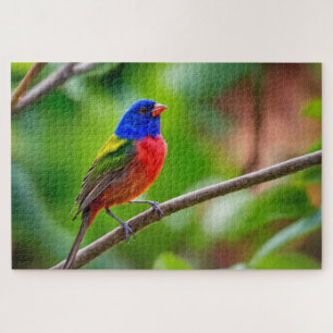Painted Bunting Jigsaw Puzzle