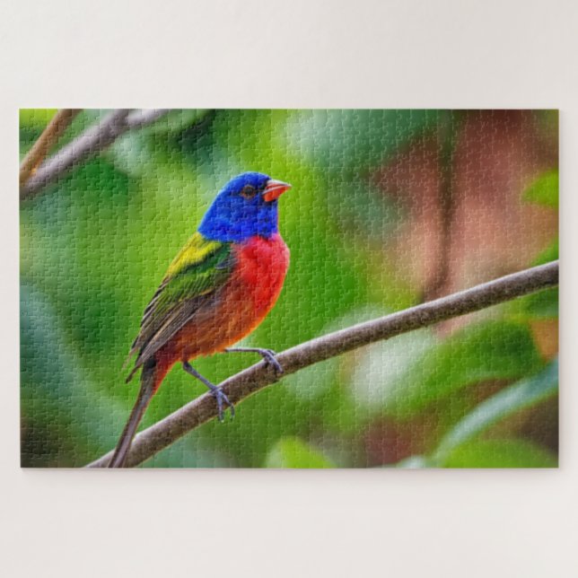 Painted Bunting Jigsaw Puzzle (Horizontal)