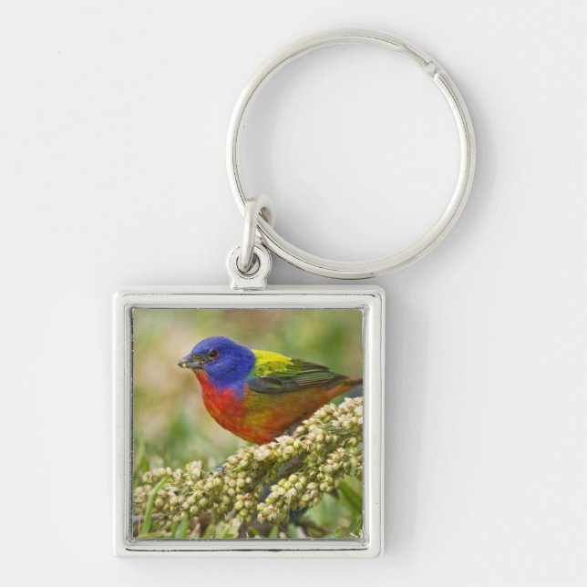 Painted Bunting Key Ring (Front)