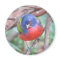 Painted Bunting Magnet