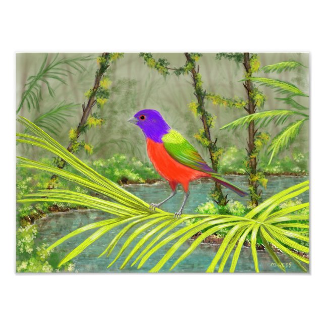 Painted Bunting Photo Print (Front)