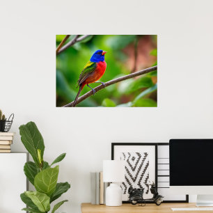 Painted Bunting Poster