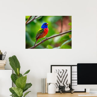 Painted Bunting Poster