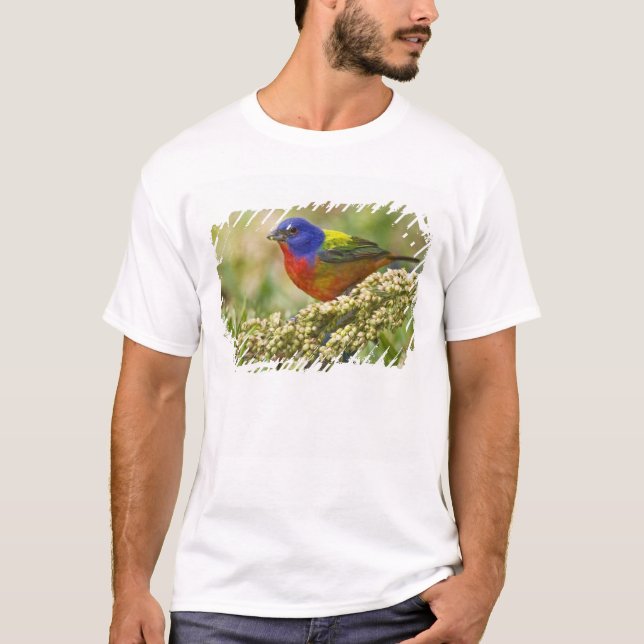 Painted Bunting T-Shirt (Front)