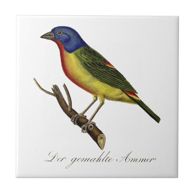 Painted Bunting Tile (Front)