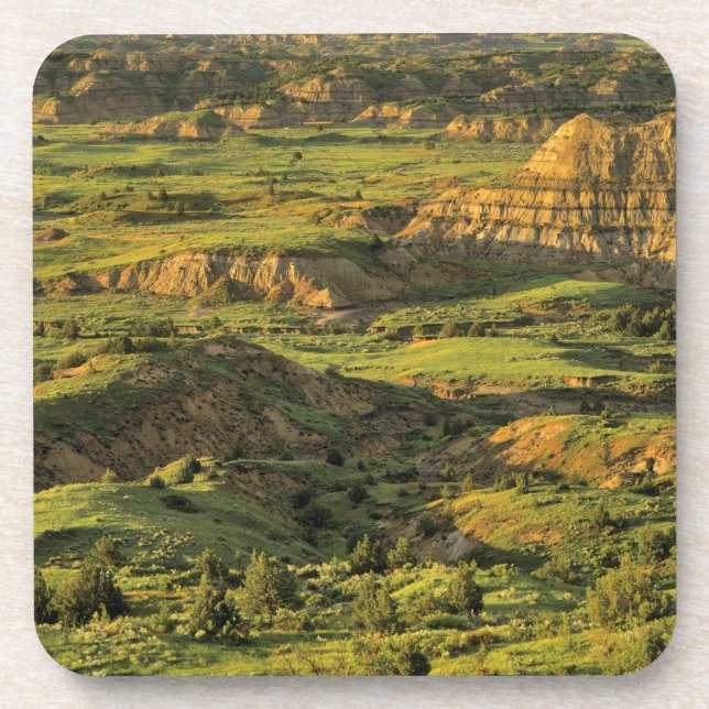 Painted Canyon After Storm in Theodore Roosevelt Coaster (Front)