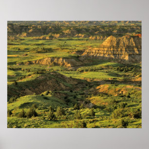 Painted Canyon After Storm in Theodore Roosevelt Poster