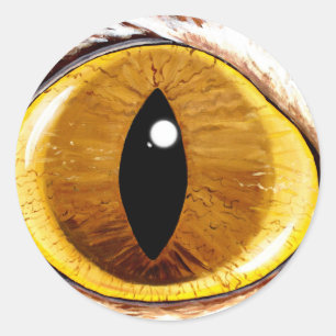 Painted Cat's Eye Classic Round Sticker