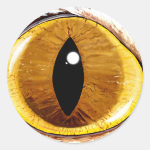 Painted Cat's Eye Classic Round Sticker