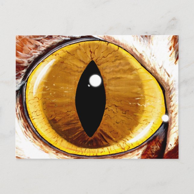Painted Cat's Eye Postcard (Front)
