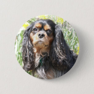 Painted Cavalier King Charles Spaniel 6 Cm Round Badge