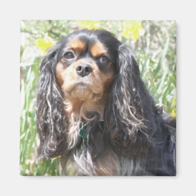 Painted Cavalier King Charles Spaniel Magnet (Front)