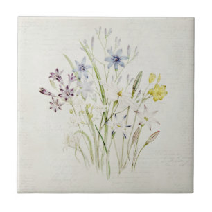 Painted Conanthera Flower Bouquet Vintage Script Tile