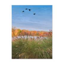 Painted Connecticut Autumn