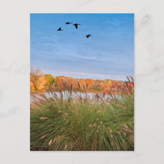 Painted Connecticut Autumn Postcard (Front)