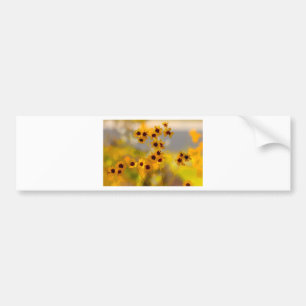 Painted Coreopsis tinctoria Wildflowers Bumper Sticker