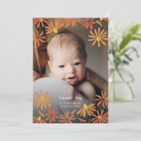 Painted Daisies Photo Birth