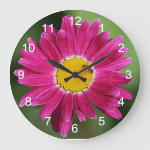 Painted Daisy and Bee Large Clock