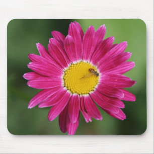 Painted Daisy Cards and more Mouse Mat