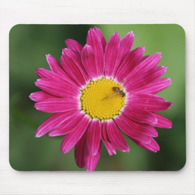 Painted Daisy Cards and more Mouse Mat (Front)