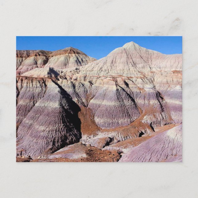 Painted Desert Petrified Forest National Park Postcard (Front)