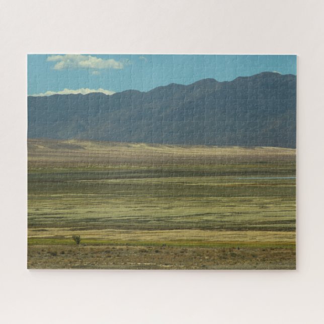 Painted Desert Puzzle (Horizontal)