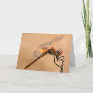 Painted Dragonfly Isolated Against Ecru Card