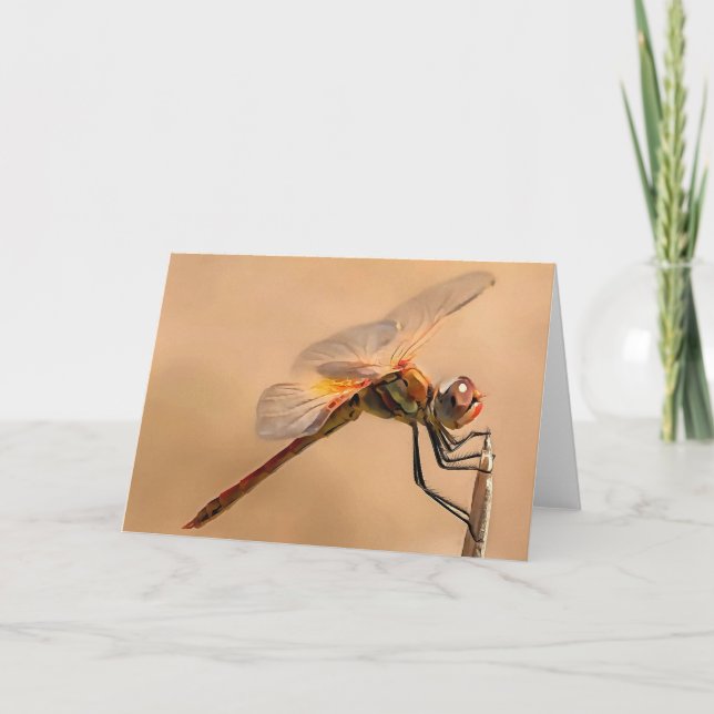 Painted Dragonfly Isolated Against Ecru Card (Front)