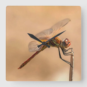 Painted Dragonfly Isolated Against Ecru Square Wall Clock