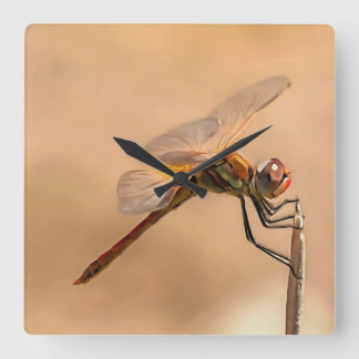 Painted Dragonfly Isolated Against Ecru Square Wall Clock