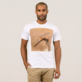 Painted Dragonfly Isolated Against Ecru T-Shirt