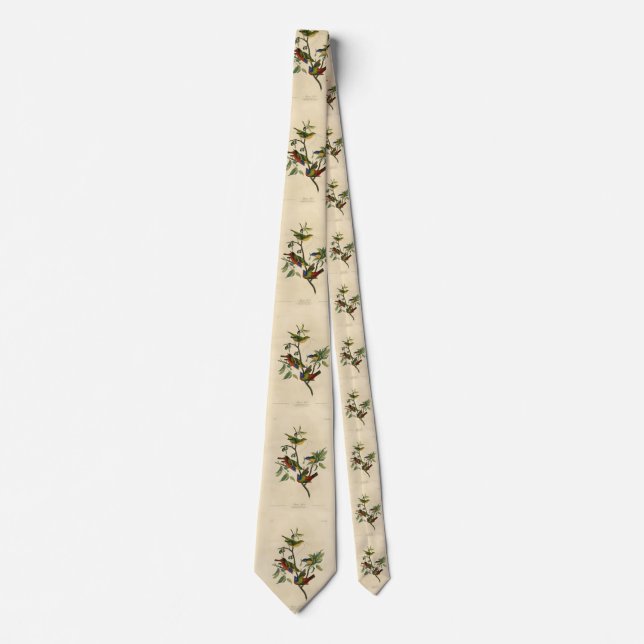 Painted Finch (Bunting) Audubon's Birds of America Tie (Front)