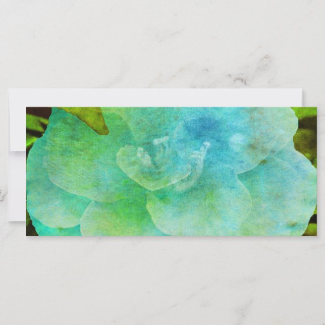 Painted Flower by Shirley Taylor (Front)