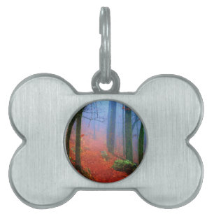 Painted Forest Autumn Blue Fog Pet ID Tag