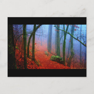 Painted Forest Autumn Blue Fog Postcard