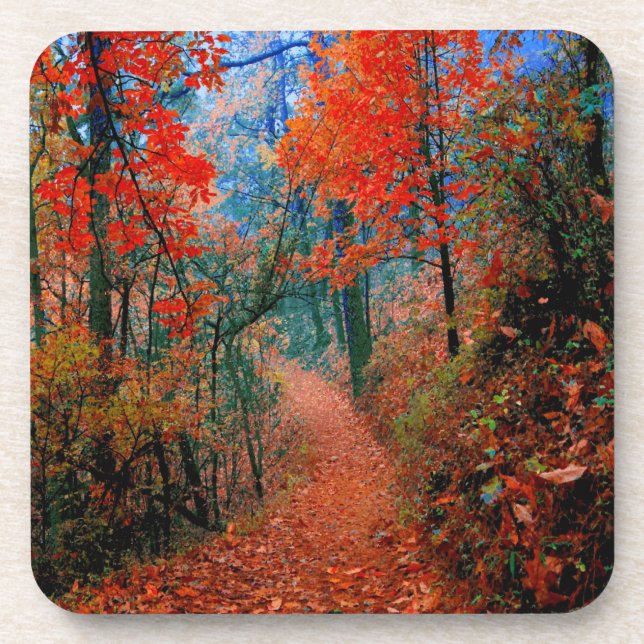 Painted Forest Autumn Flame Watercolor Coasters (Front)