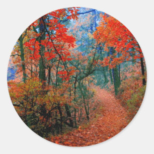Painted Forest Autumn Flame Watercolor Gifts Classic Round Sticker