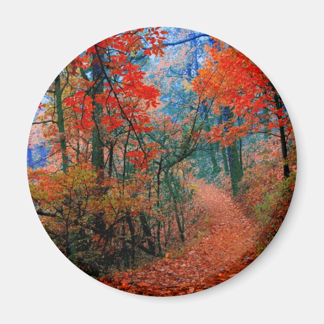 Painted Forest Autumn Flame Watercolor Gifts Magnet (Front)