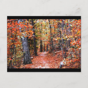 Painted Forest Autumn Trail Watercolor Gifts Postcard