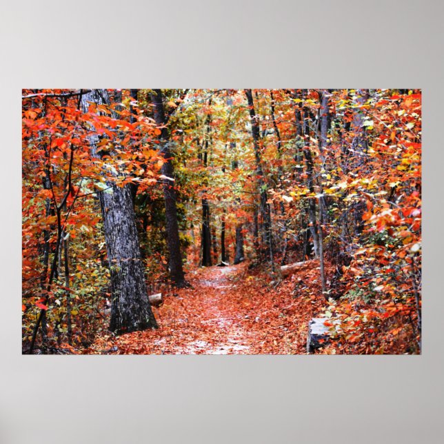 Painted Forest Autumn Trail Watercolor Print (Front)