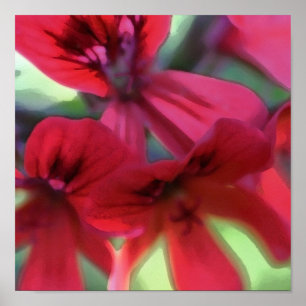 Painted Geranium Poster