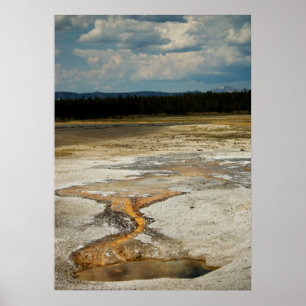 Painted Grounds Print