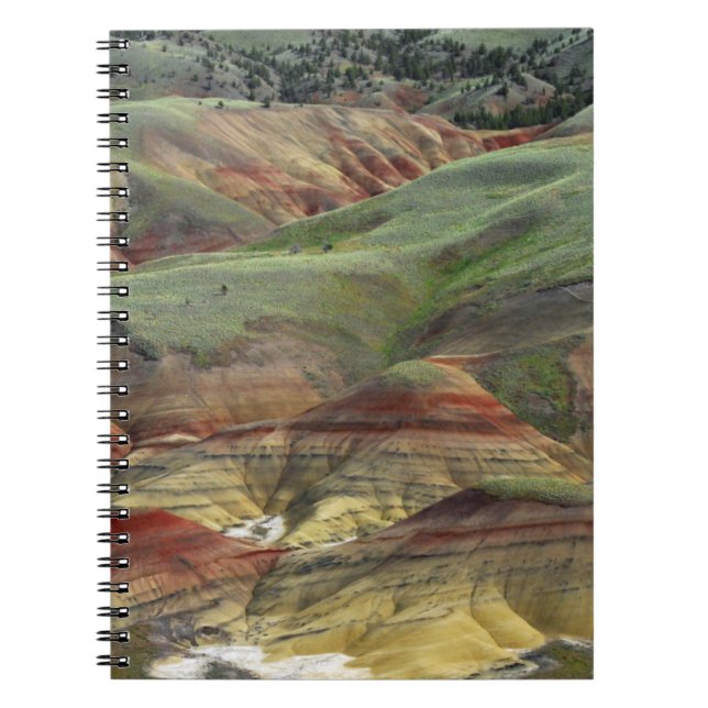 Painted Hills, John Day Fossil Beds, Mitchell Notebook (Front)
