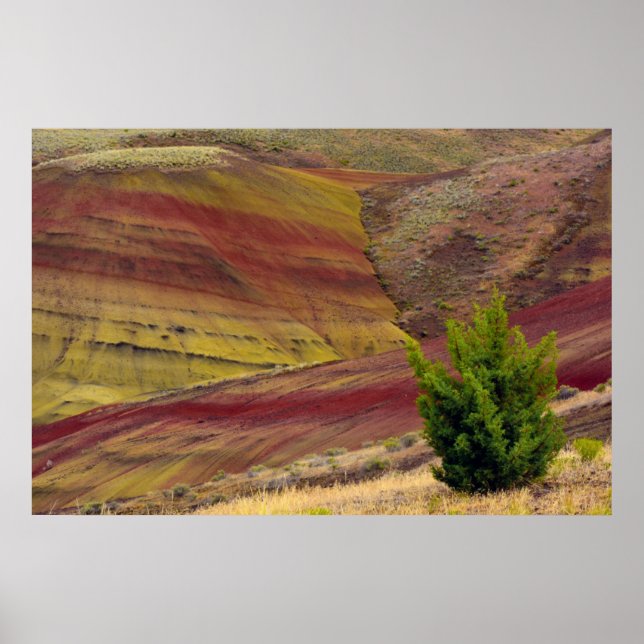 Painted Hills, Mitchell, Oregon, USA Poster (Front)